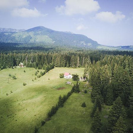 Homestay Djerkovic Жабляк Экстерьер фото