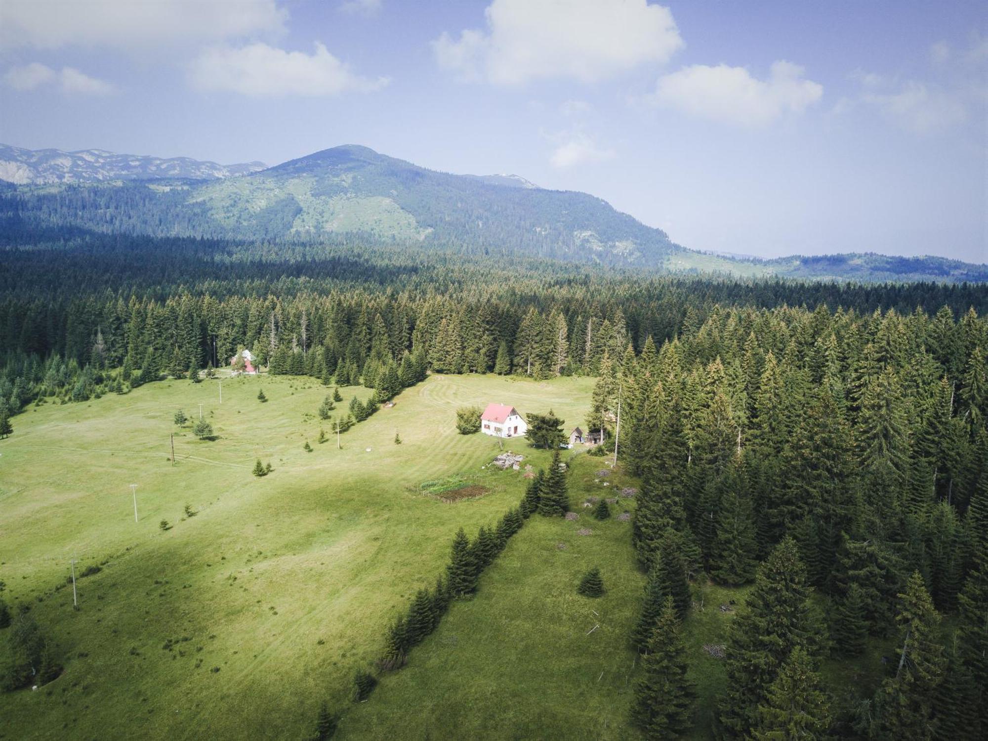 Homestay Djerkovic Жабляк Экстерьер фото